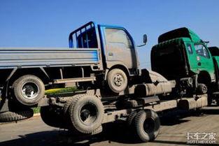 长点心吧吃瓜群众,长点心吧！揭秘吃瓜群众的趣味生活