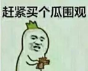 吃瓜群众洛阳话怎么说的,洛阳方言中的“吃瓜群众”趣味解读