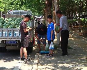 禹城最新吃瓜群众新闻,最新民生事件追踪揭秘