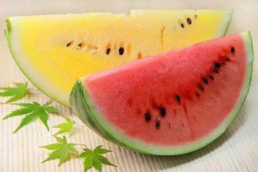 吃瓜的群众等级,揭秘不同等级吃瓜群众的独特魅力