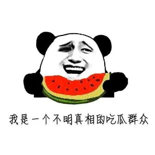 一个伟大的吃瓜群众,揭秘吃瓜群众背后的传奇人生