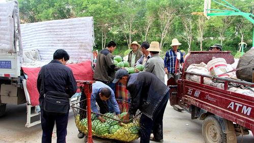 吃瓜群众岱岱 上山下乡