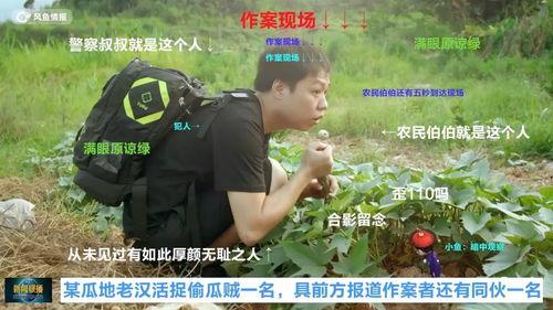 抓犯人的吃瓜群众是谁啊,围观抓捕犯人的吃瓜群众身份之谜