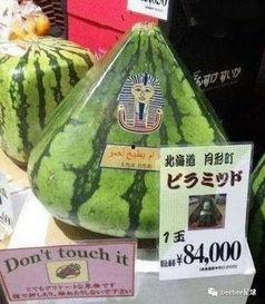 全球最美吃瓜群众,见证美食盛宴的视觉盛宴